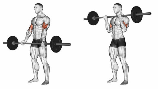 Top 10 exerciții pentru bicepși mai puternici și definiți