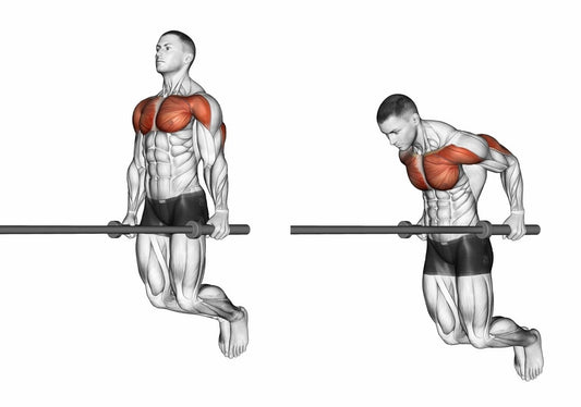 Flotări la paralele: sfaturi pentru o execuție corectă