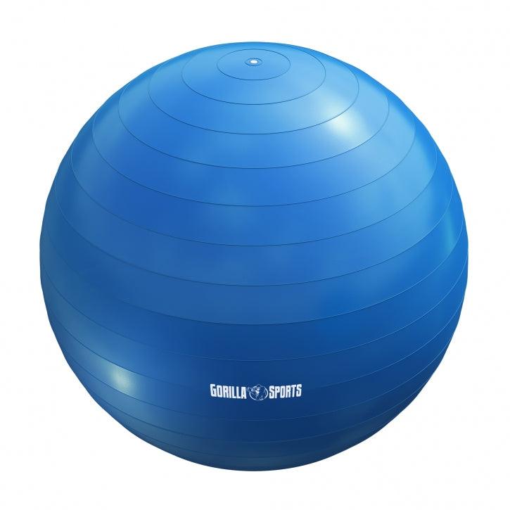Minge de gimnastică incl., pompă de aer 55 - 75 cm