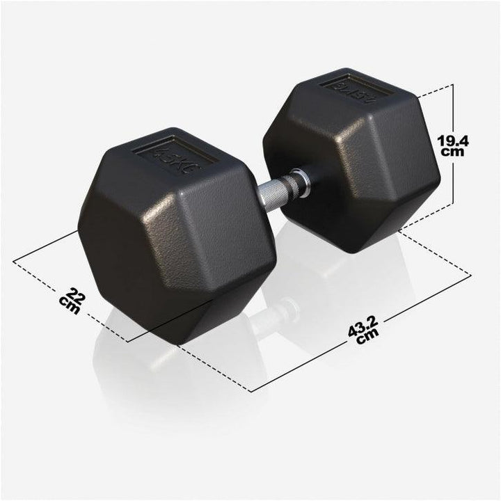 Halter hexagonal cu cauciuc 2 - 50 kg