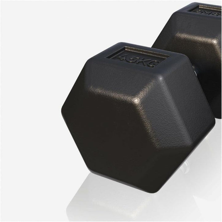 Halter hexagonal cu cauciuc 2 - 50 kg