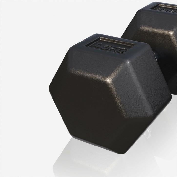 Halter hexagonal cu cauciuc 2 - 50 kg