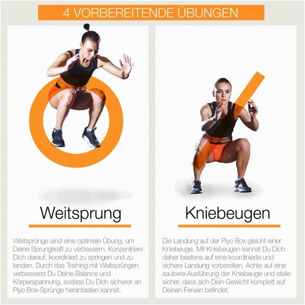 Cutie pilometrica PlyoBox, Gorillasports - Gorilla Sports Ro