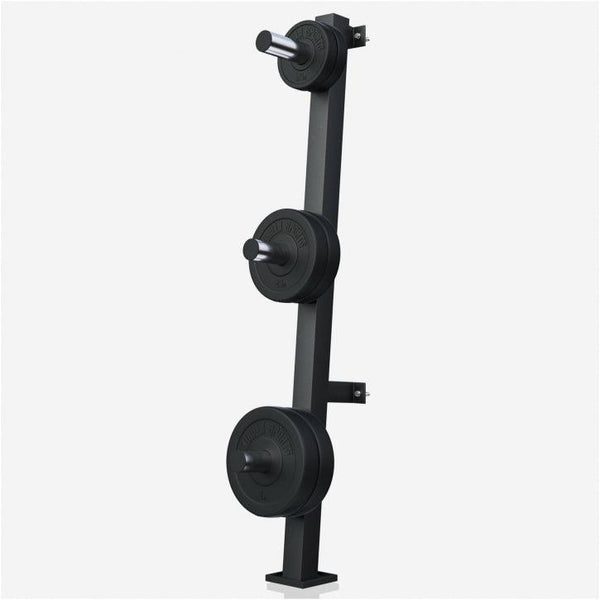 Suport discuri cu montare pe perete - Gorilla Sports Ro