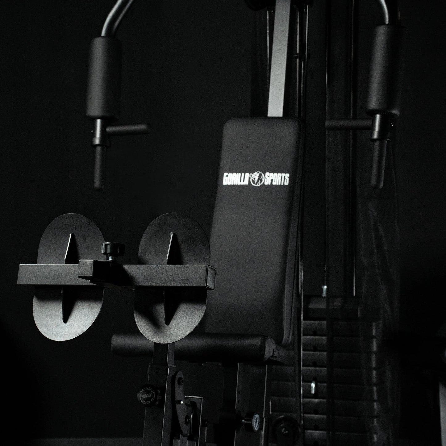 Stație de antrenament Home Gym incl., greutăți modulare