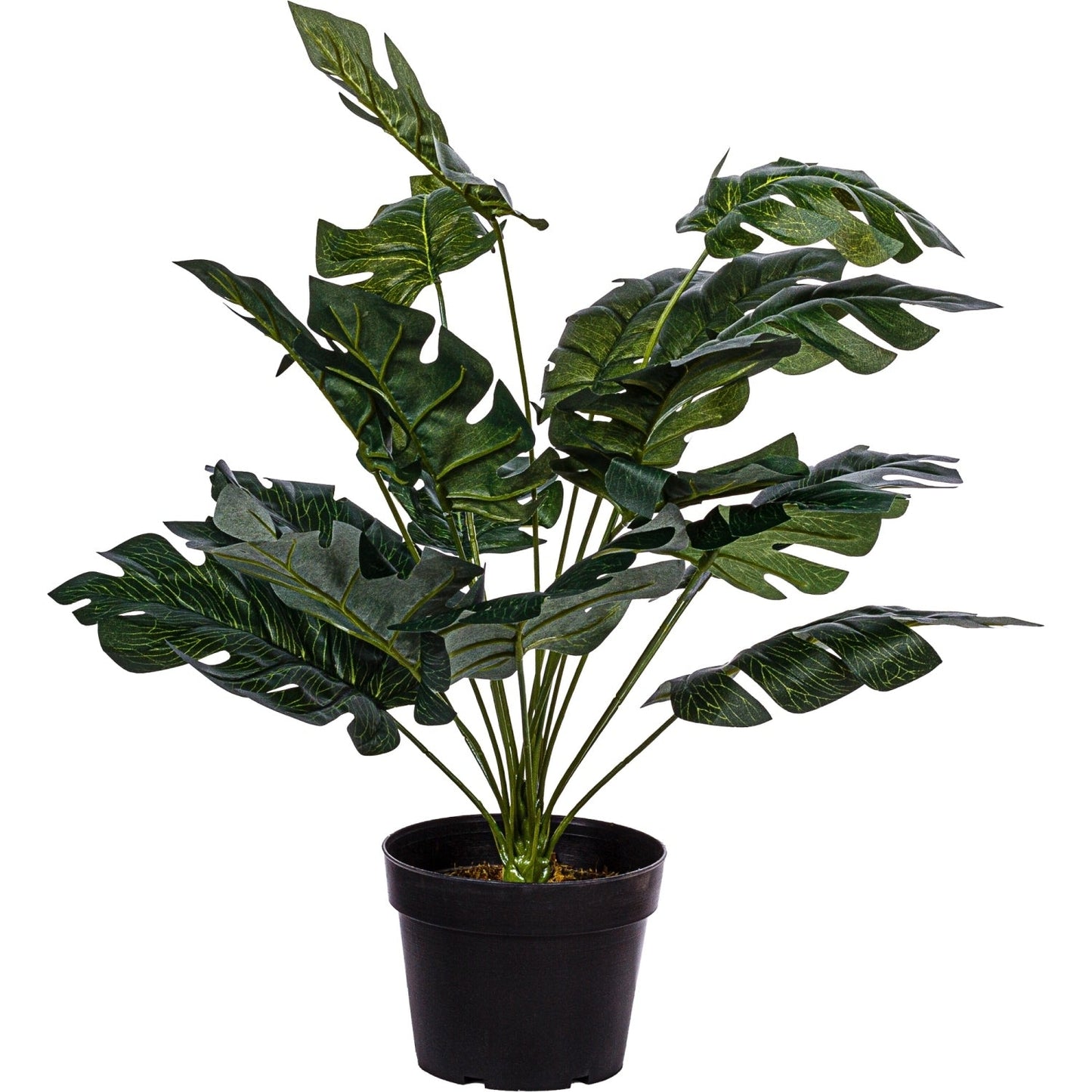 Planta de interior, artificiala