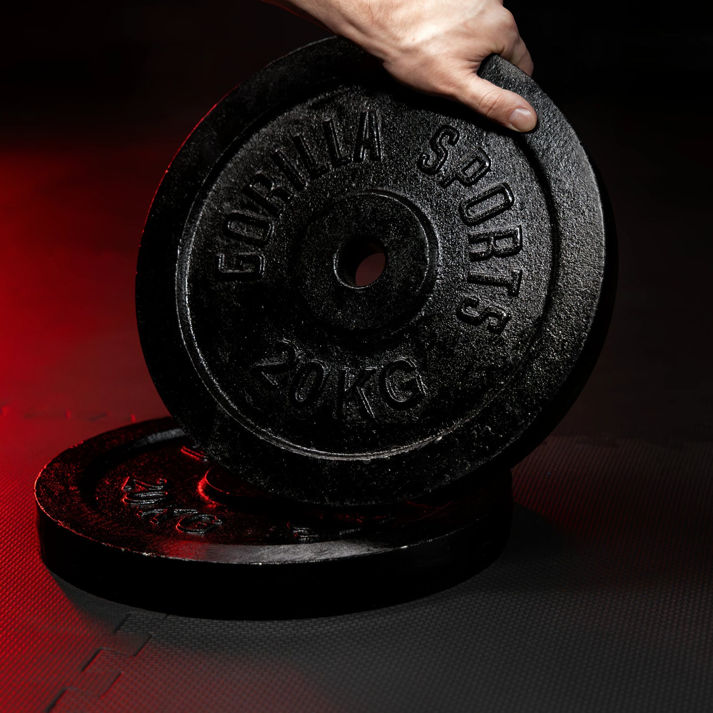 Discuri de halteră din fontă 0,5 - 30 kg