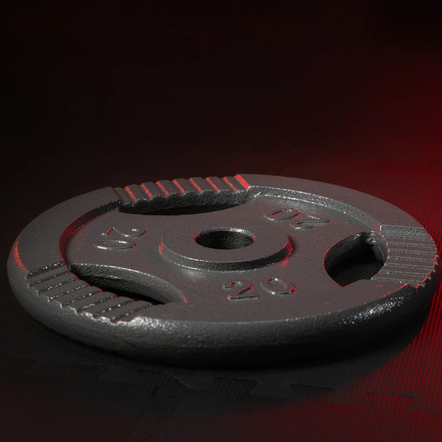 Discuri de halteră din fontă Gripper 0,5 - 20 kg