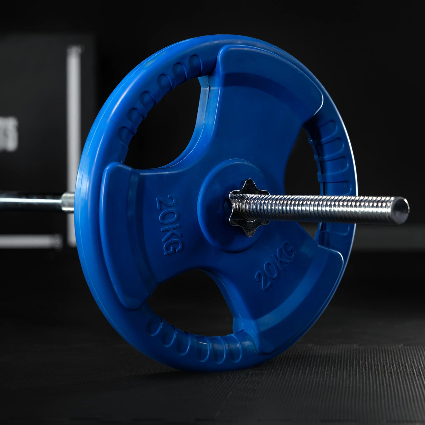Discuri cu grip, cauciucate, 1,25 - 25 kg, 30/31 mm